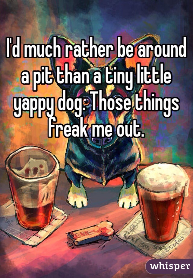 I'd much rather be around a pit than a tiny little yappy dog. Those things freak me out. 