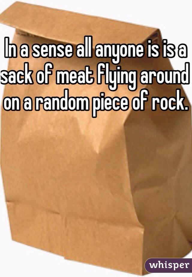 In a sense all anyone is is a sack of meat flying around on a random piece of rock. 