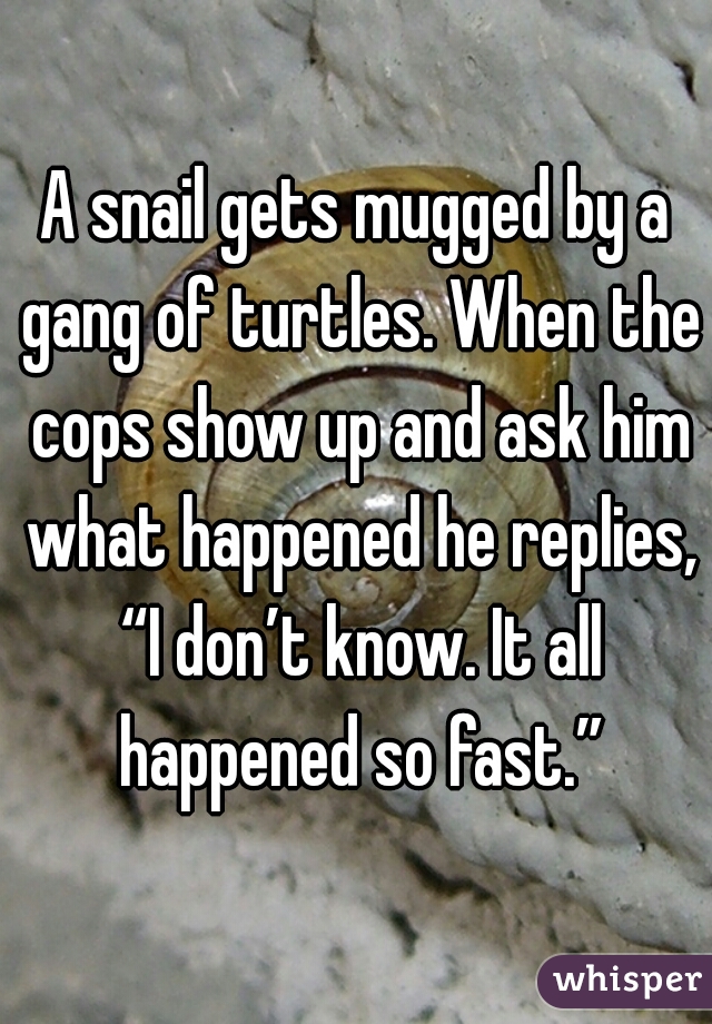 A snail gets mugged by a gang of turtles. When the cops show up and ask him what happened he replies, “I don’t know. It all happened so fast.”