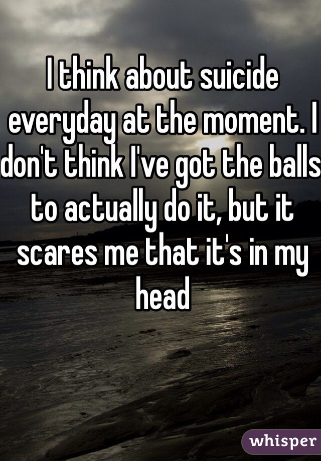 I think about suicide everyday at the moment. I don't think I've got the balls to actually do it, but it scares me that it's in my head