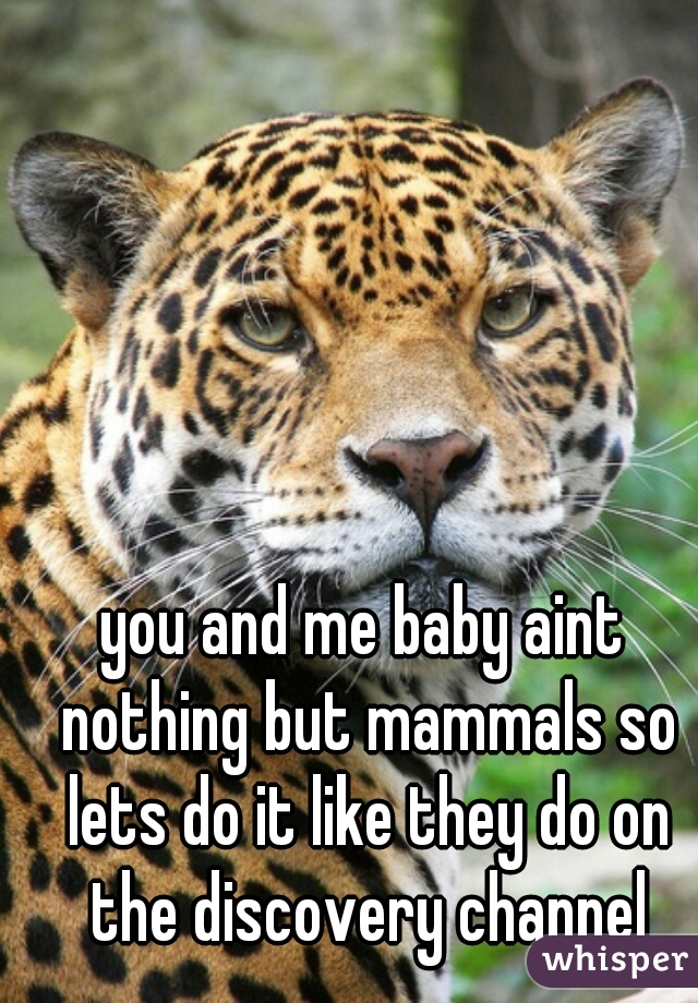 you and me baby aint nothing but mammals so lets do it like they do on the discovery channel