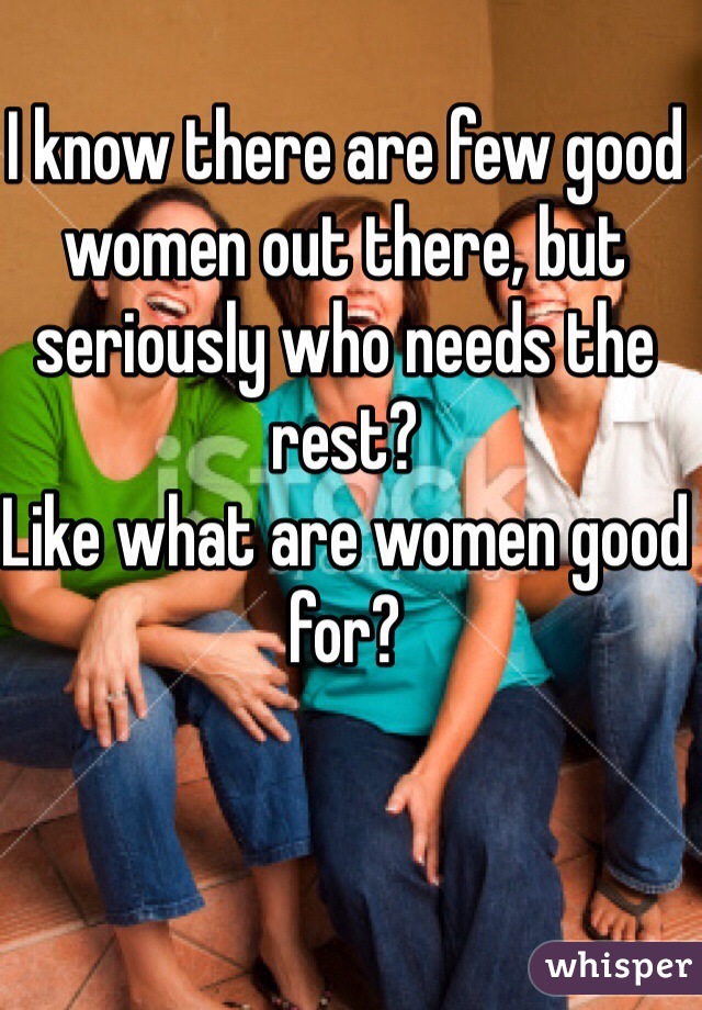I know there are few good women out there, but seriously who needs the rest?
Like what are women good for?