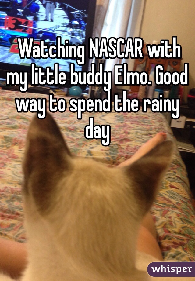  Watching NASCAR with my little buddy Elmo. Good way to spend the rainy day