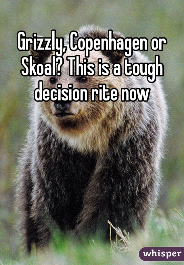 Grizzly, Copenhagen or Skoal? This is a tough decision rite now 