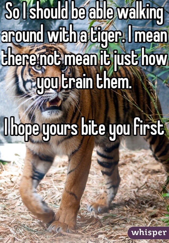 So I should be able walking around with a tiger. I mean there not mean it just how you train them. 

I hope yours bite you first