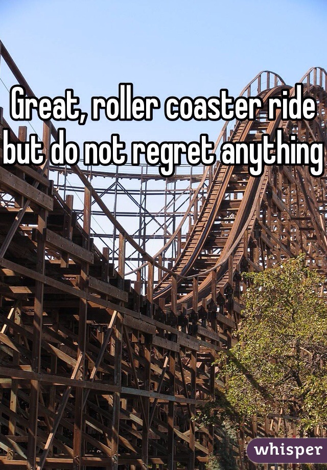 Great, roller coaster ride but do not regret anything