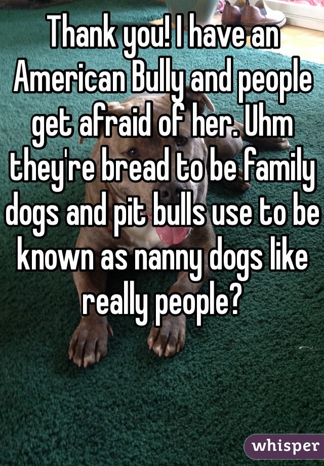 Thank you! I have an American Bully and people get afraid of her. Uhm they're bread to be family dogs and pit bulls use to be known as nanny dogs like really people? 