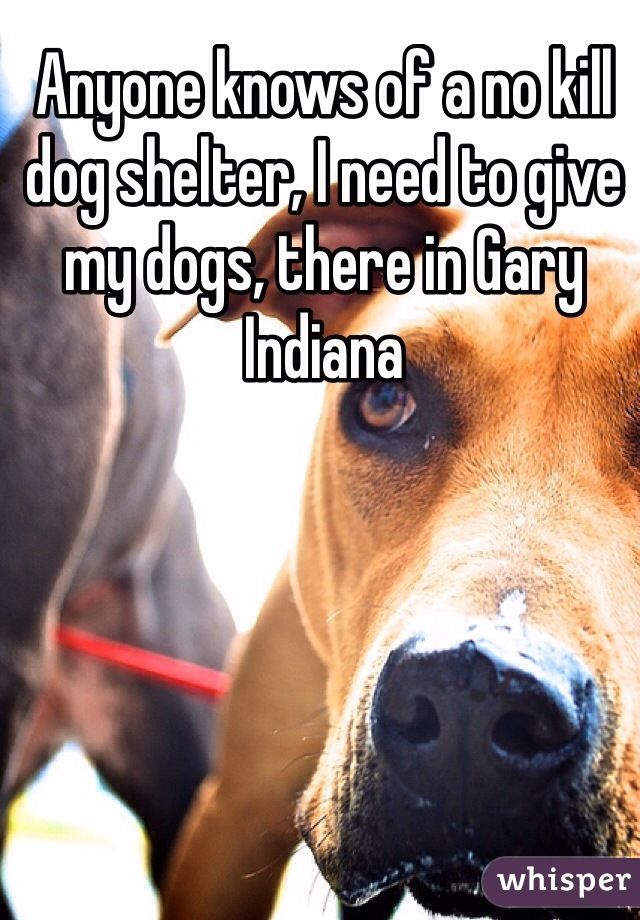 Anyone knows of a no kill dog shelter, I need to give my dogs, there in Gary Indiana