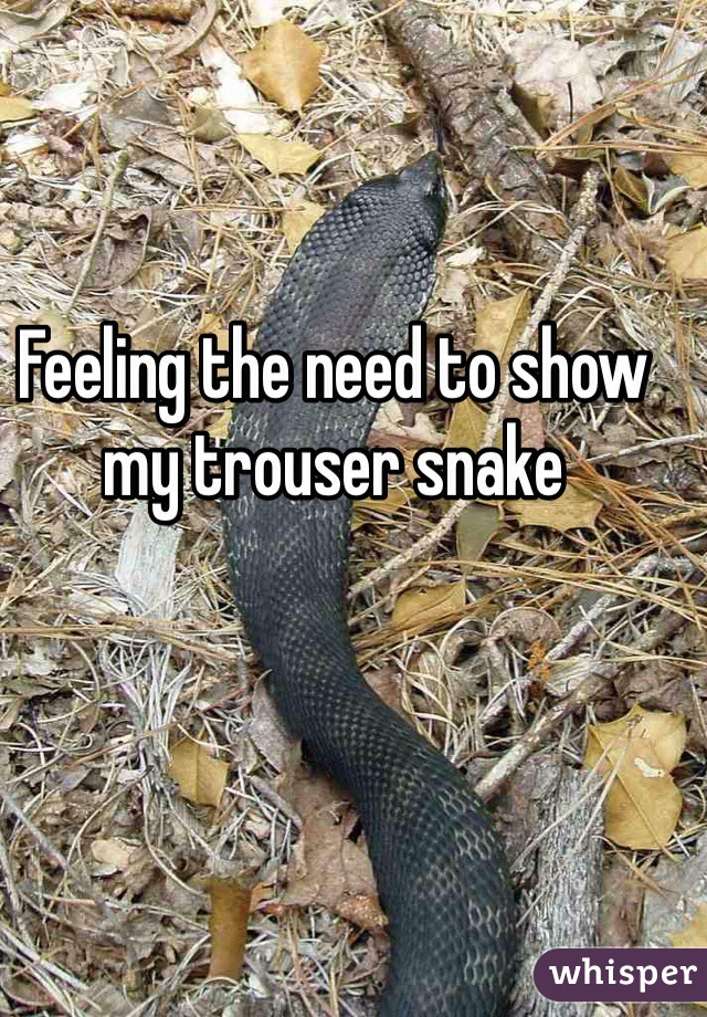 Feeling the need to show my trouser snake 