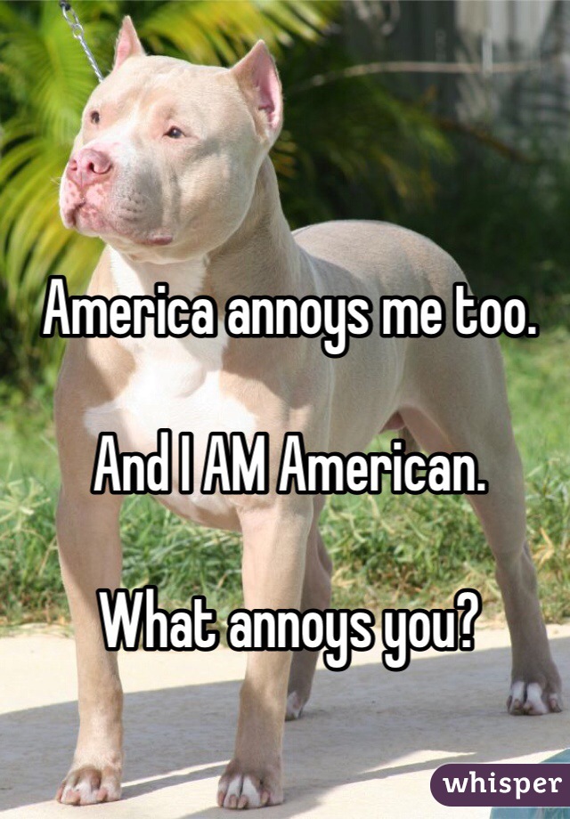 America annoys me too.

And I AM American.

What annoys you?