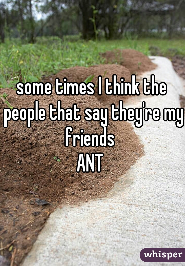 some times I think the people that say they're my friends  

ANT 