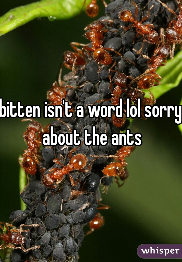 bitten isn't a word lol sorry about the ants