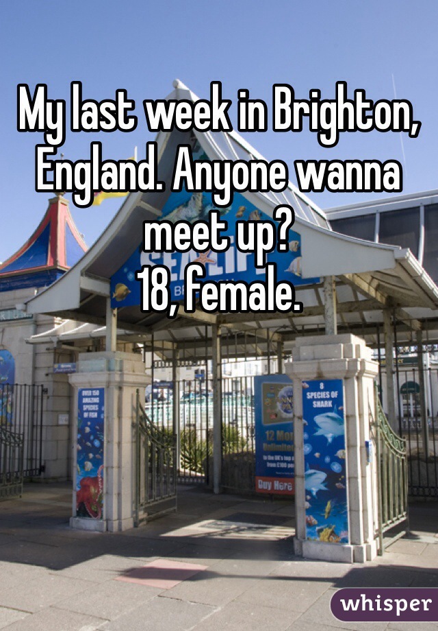 My last week in Brighton, England. Anyone wanna meet up?
18, female.