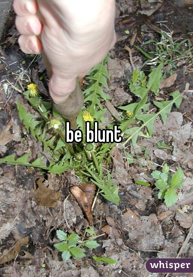 be blunt 
