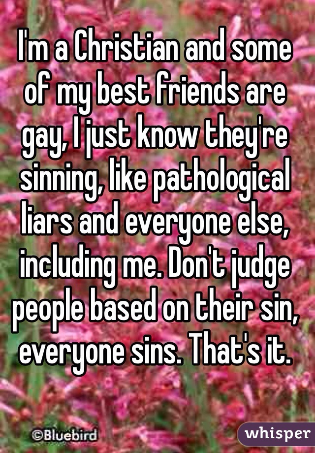 I'm a Christian and some of my best friends are gay, I just know they're sinning, like pathological liars and everyone else, including me. Don't judge people based on their sin, everyone sins. That's it.