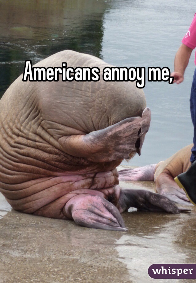 Americans annoy me, 