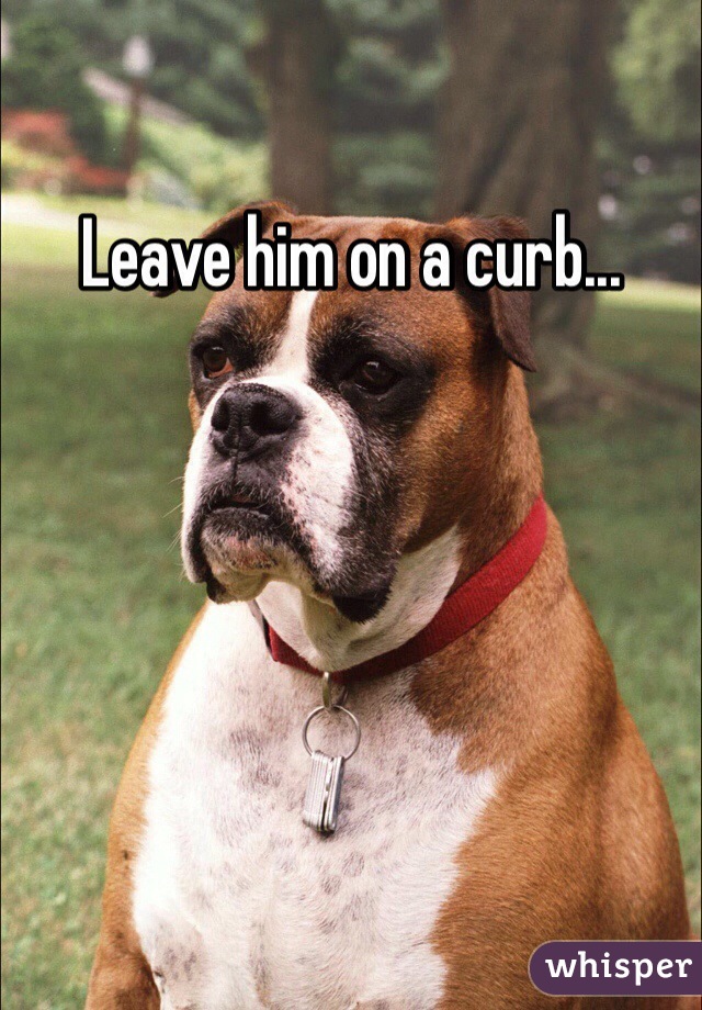 Leave him on a curb...