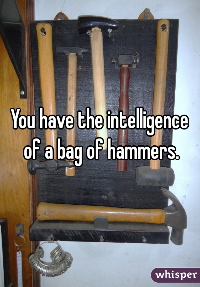You have the intelligence of a bag of hammers.