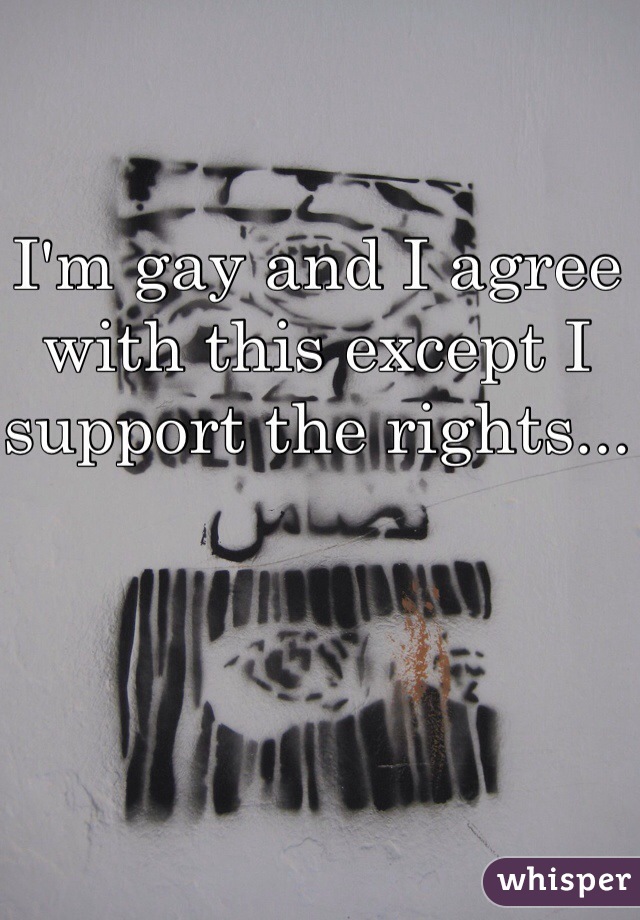 I'm gay and I agree with this except I support the rights...