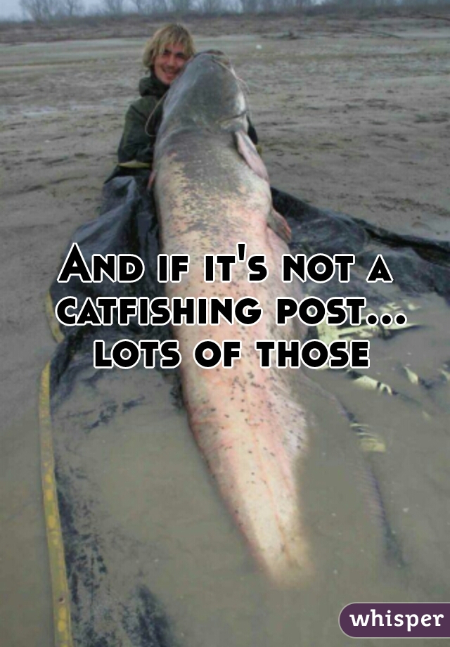 And if it's not a catfishing post... lots of those