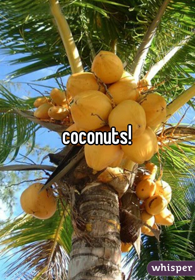 coconuts!