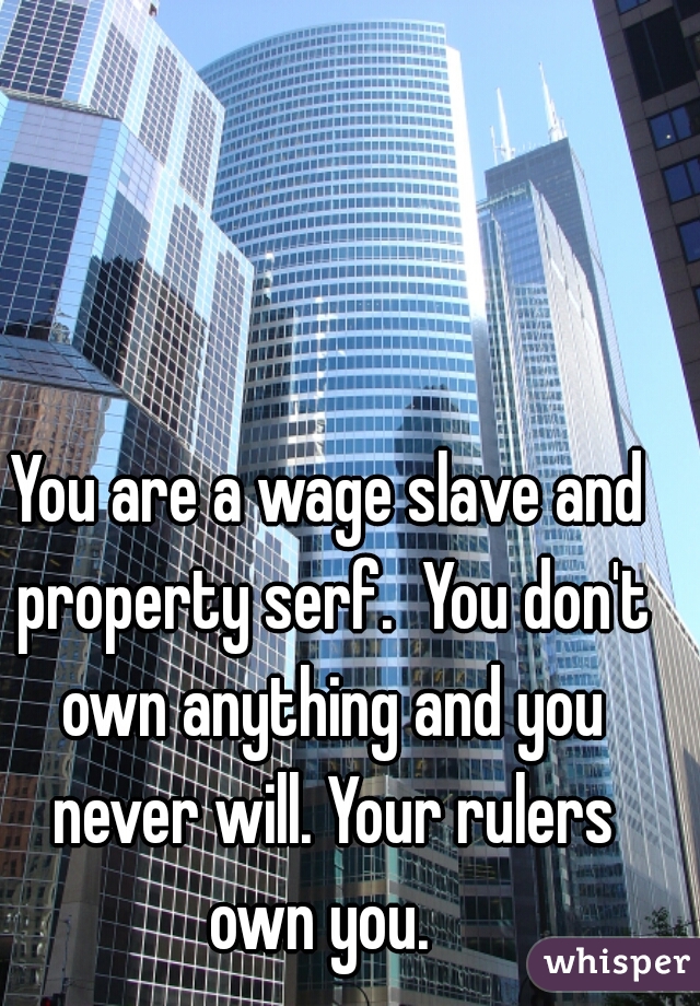You are a wage slave and property serf.  You don't own anything and you never will. Your rulers own you.  