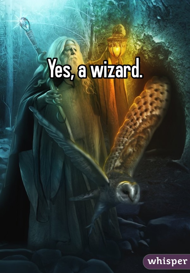 Yes, a wizard.