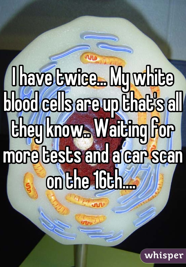 I have twice... My white blood cells are up that's all they know.. Waiting for more tests and a car scan on the 16th.... 