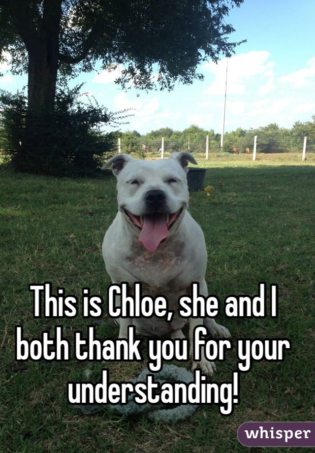 





This is Chloe, she and I both thank you for your understanding!
