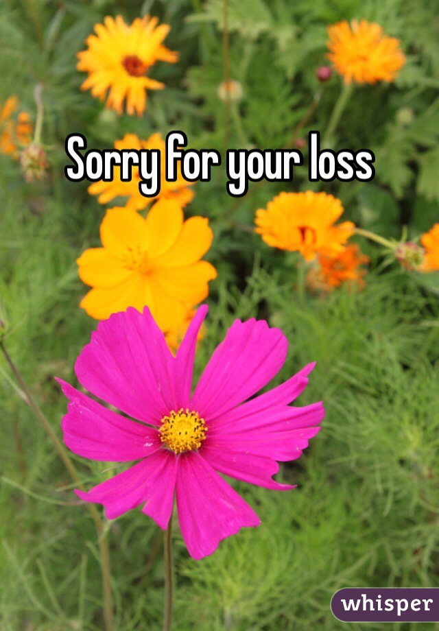 Sorry for your loss 