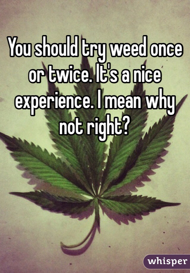 You should try weed once or twice. It's a nice experience. I mean why not right? 