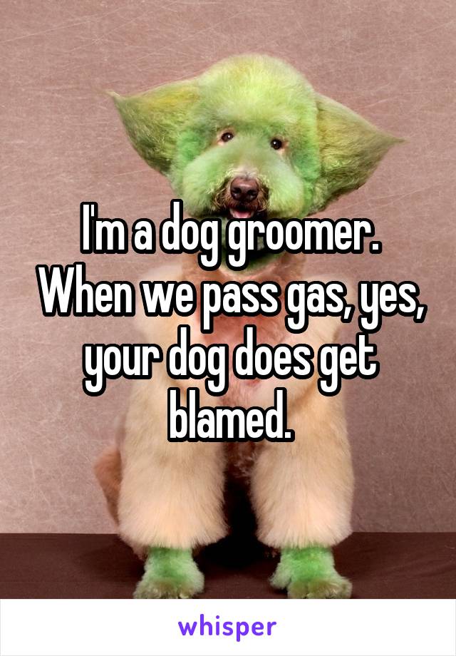 I'm a dog groomer. When we pass gas, yes, your dog does get blamed.
