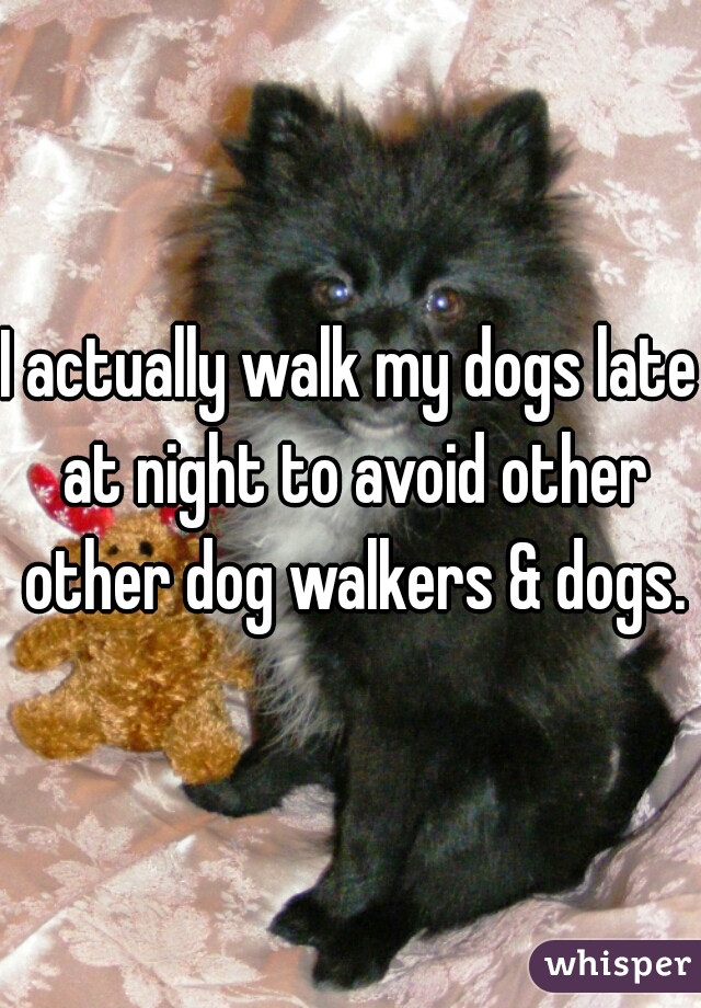 I actually walk my dogs late at night to avoid other other dog walkers & dogs.