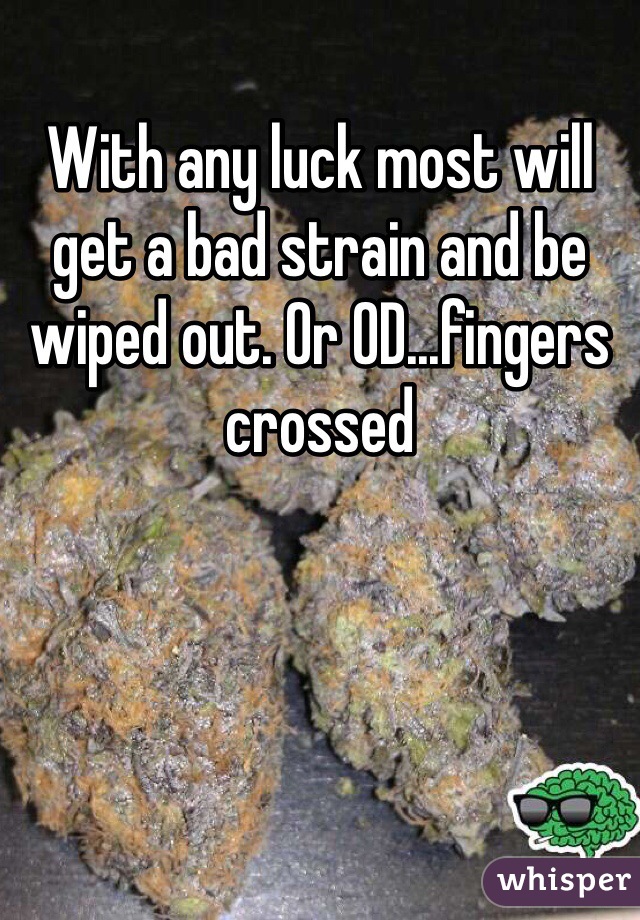 With any luck most will get a bad strain and be wiped out. Or OD...fingers crossed 