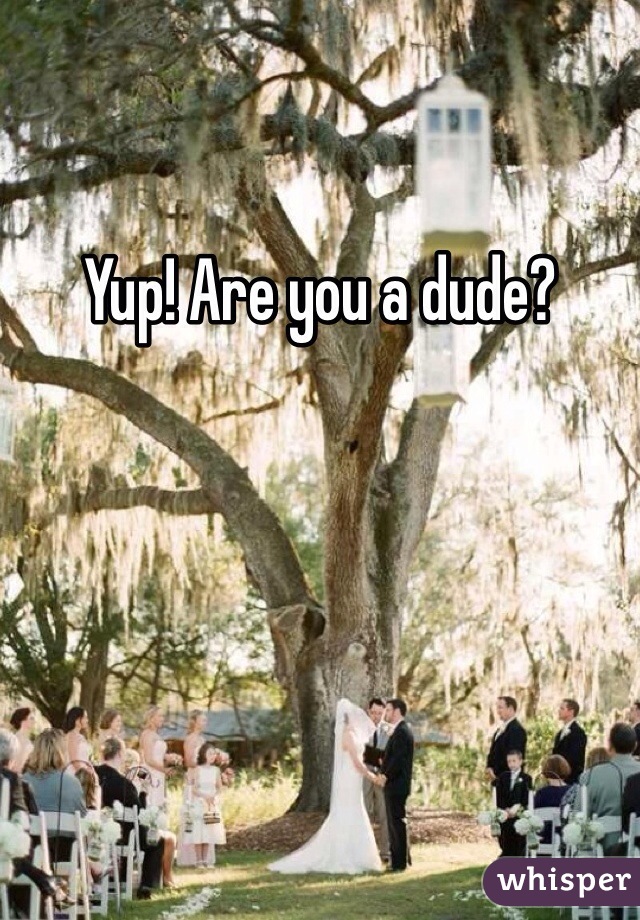 Yup! Are you a dude?