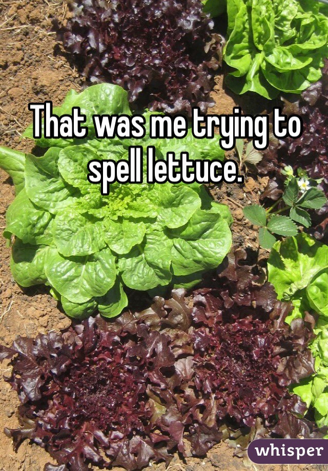 That was me trying to spell lettuce. 