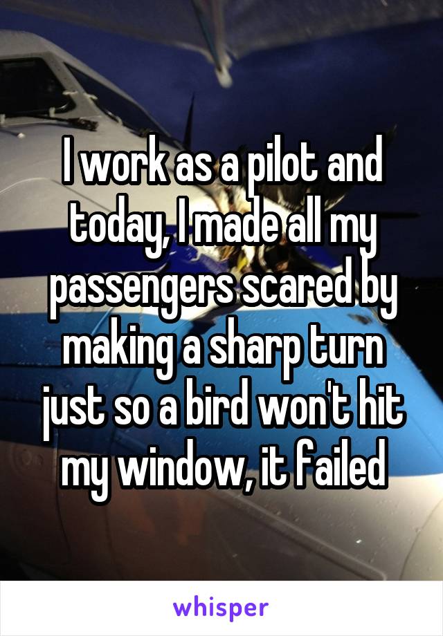I work as a pilot and today, I made all my passengers scared by making a sharp turn just so a bird won't hit my window, it failed