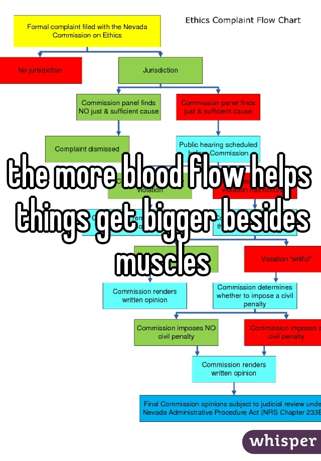 the more blood flow helps things get bigger besides muscles