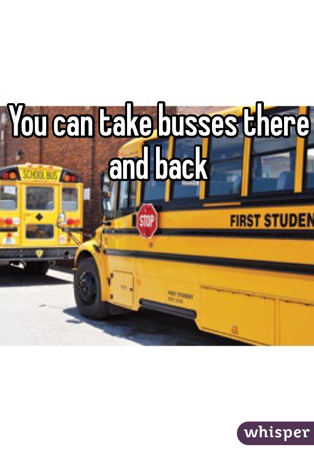 You can take busses there and back
