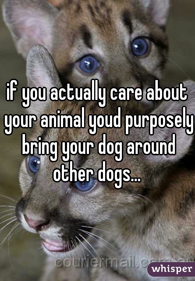 if you actually care about your animal youd purposely bring your dog around other dogs... 