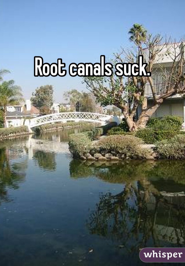 Root canals suck.