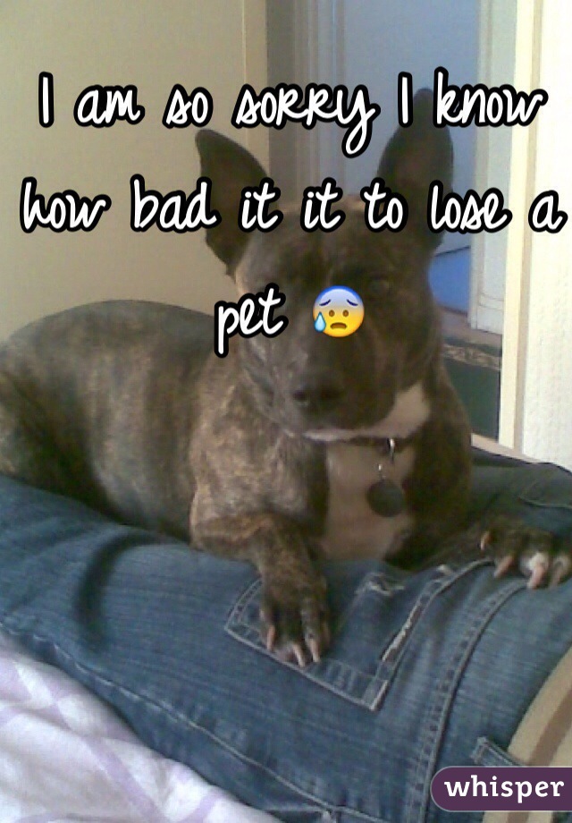 I am so sorry I know how bad it it to lose a pet 😰