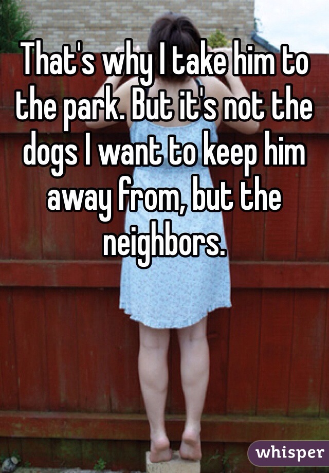 That's why I take him to the park. But it's not the dogs I want to keep him away from, but the neighbors. 