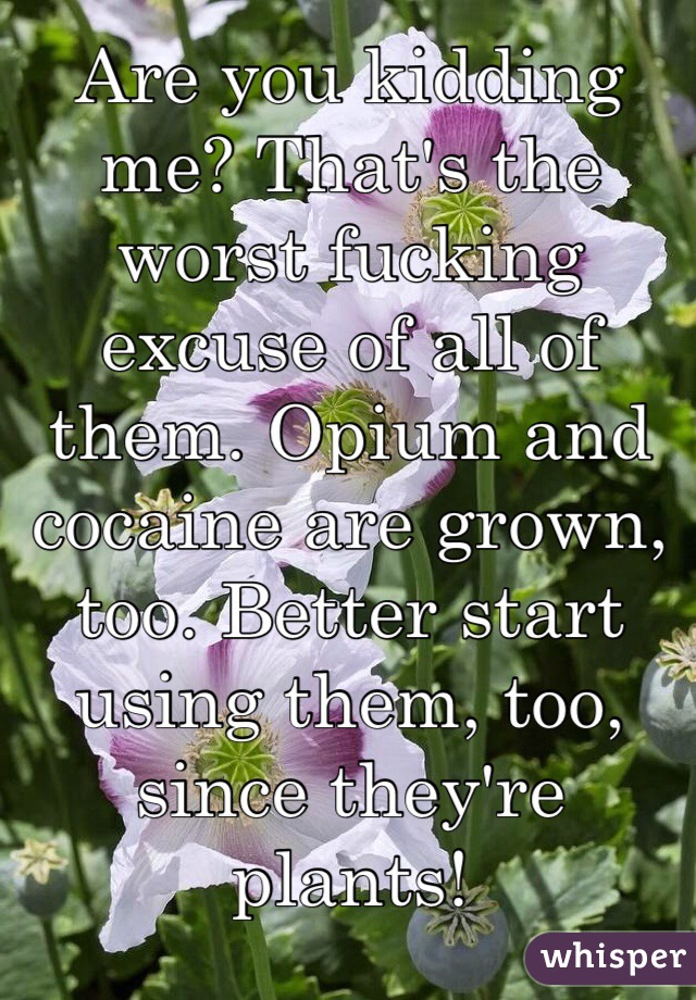 Are you kidding me? That's the worst fucking excuse of all of them. Opium and cocaine are grown, too. Better start using them, too, since they're plants!