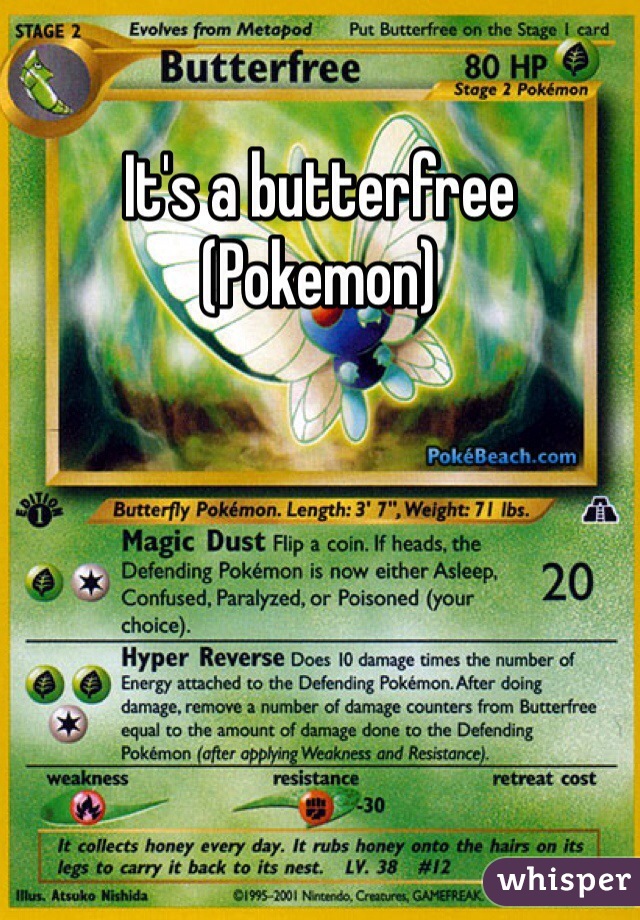 It's a butterfree (Pokemon)