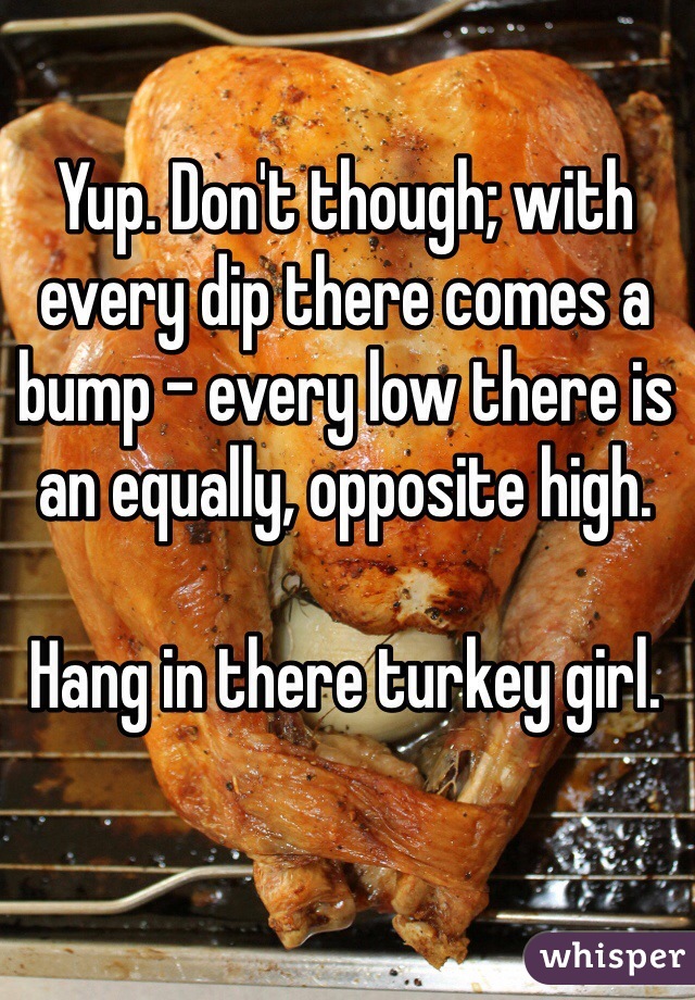 Yup. Don't though; with every dip there comes a bump - every low there is an equally, opposite high.

Hang in there turkey girl.