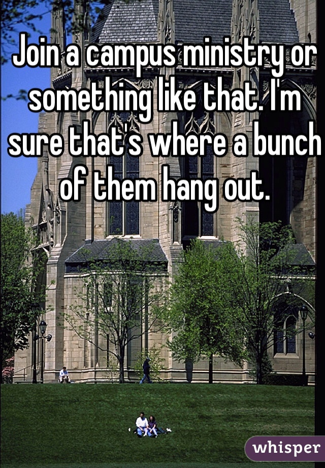 Join a campus ministry or something like that. I'm sure that's where a bunch of them hang out.
