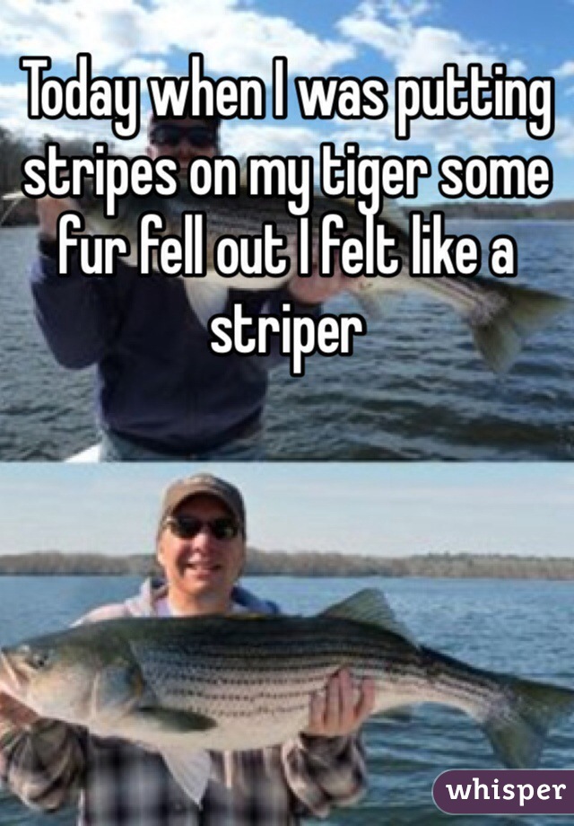 Today when I was putting stripes on my tiger some fur fell out I felt like a striper