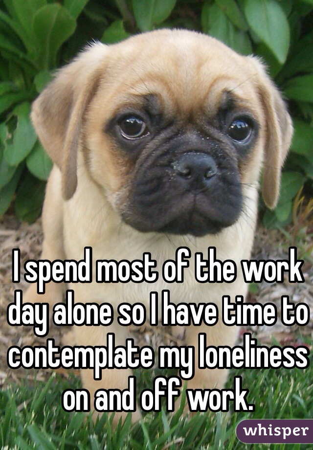 I spend most of the work day alone so I have time to contemplate my loneliness on and off work. 