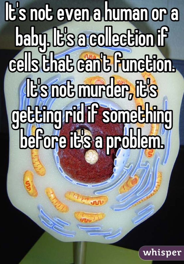 It's not even a human or a baby. It's a collection if cells that can't function. It's not murder, it's getting rid if something before it's a problem.